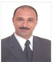 Ayman Mahgoub